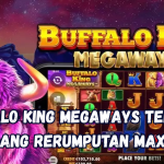 Buffalo King Megaways Terobos Padang Rerumputan Maxwin